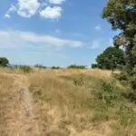 SOTA DM/BW-110 Limburg