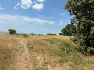 SOTA DM/BW-110 Limburg