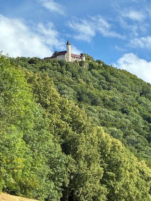 DL1SWE_POTA_SOTA BW-695 Teck