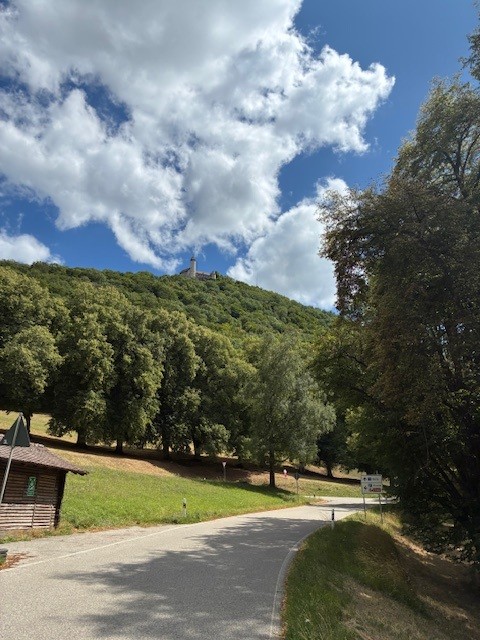 DL1SWE_POTA_SOTA BW-695 Teck