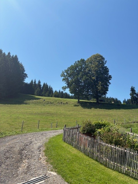 DL1SWE_SOTA_DL-AL-276-Kapf