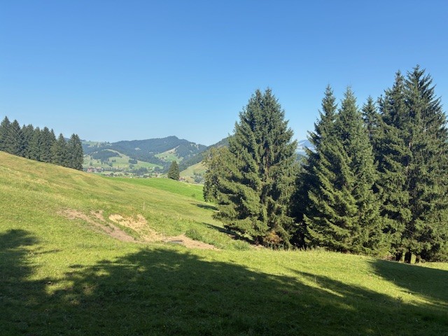 DL1SWE_SOTA_DL-AL-276-Kapf