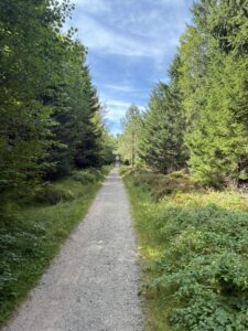 SOTA-Aktivierungsbericht – DM/BW-054 Hohloh