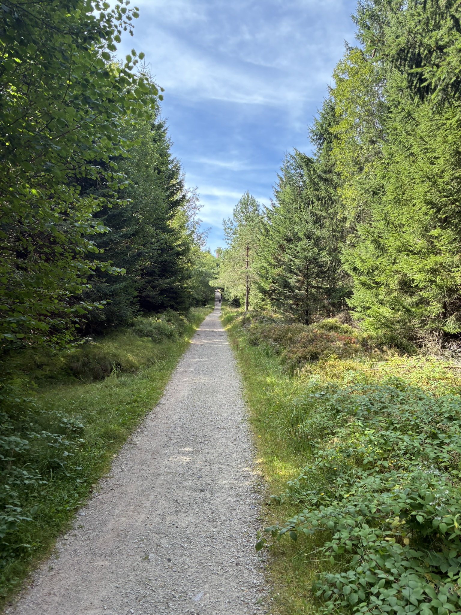 SOTA-Aktivierungsbericht – DM/BW-054 Hohloh