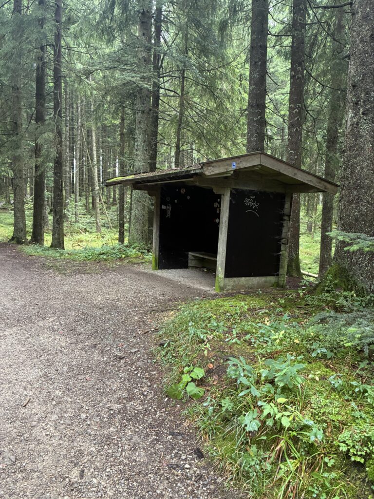 DL/MF-033, Gindelalmschneid - 1335m