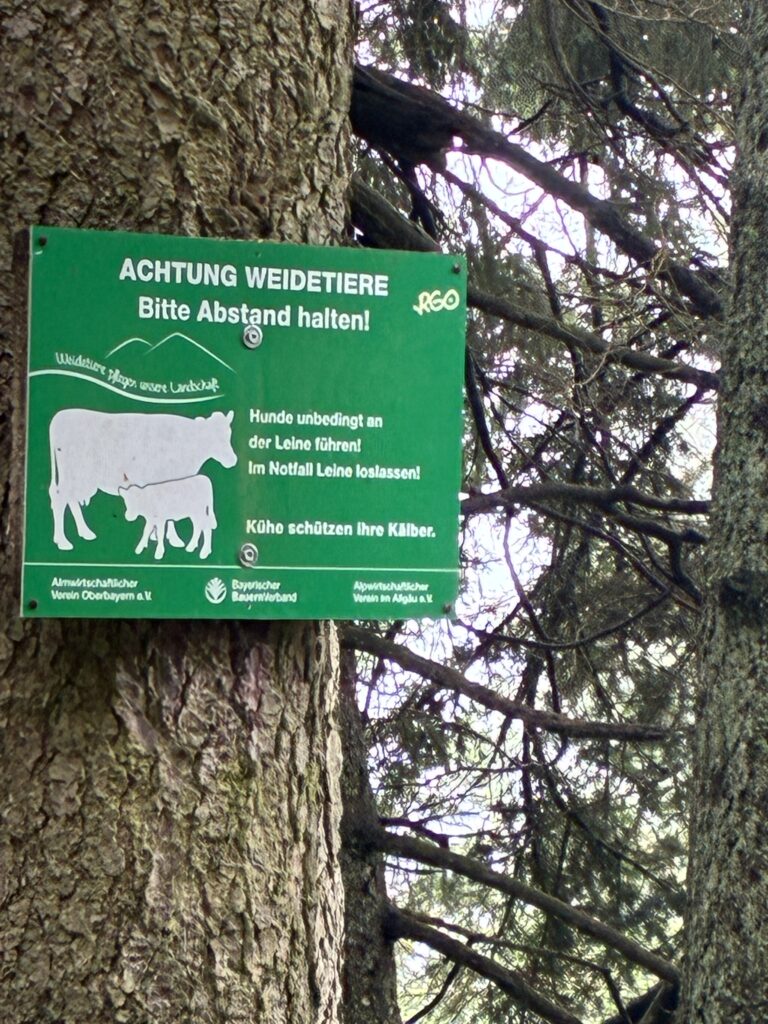 DL/MF-033, Gindelalmschneid - 1335m