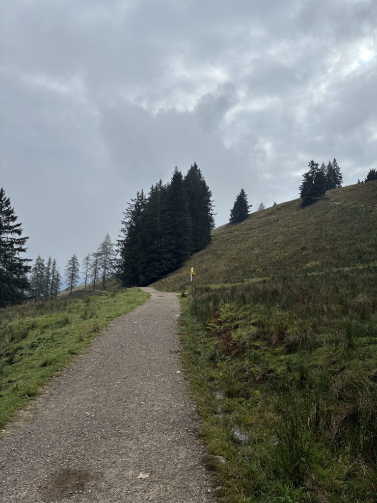 DL/MF-033, Gindelalmschneid - 1335m