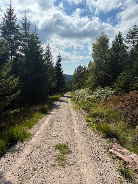 DM/BW-047, Badener Höhe