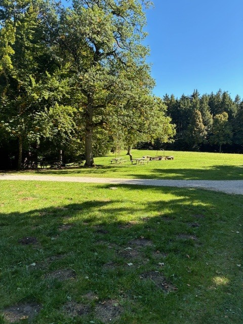 SOTA DM/BW-078, Römerstein DL1SW Wiese