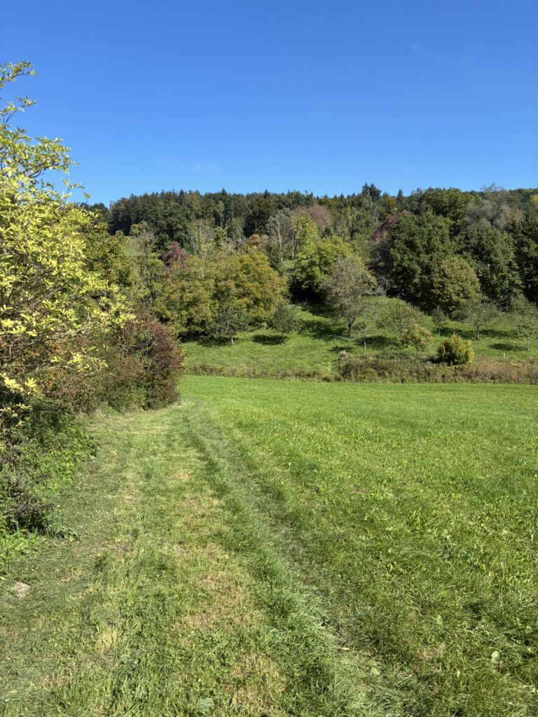 DM/BW-348, Gehrenberg