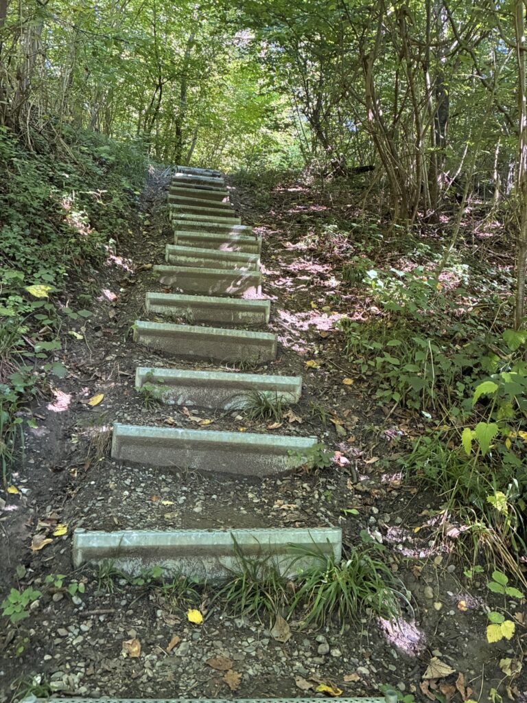 DM/BW-348, Gehrenberg