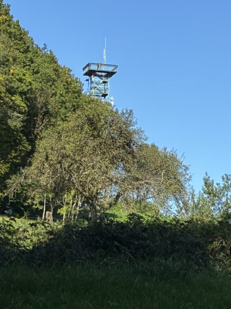 DM/BW-348, Gehrenberg