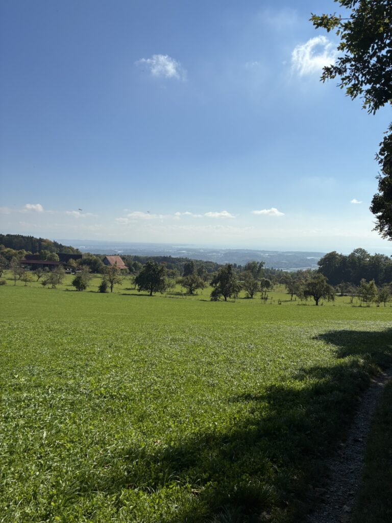 DM/BW-348, Gehrenberg