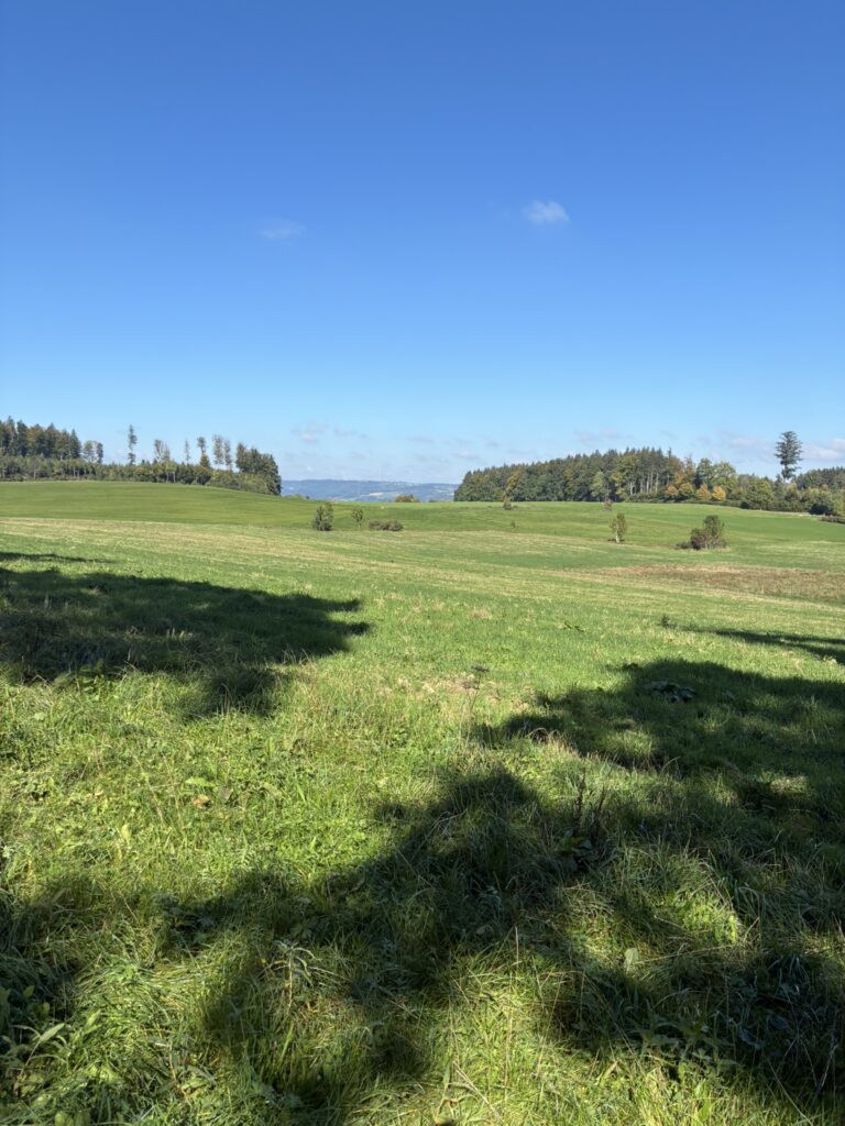 DM/BW-348, Gehrenberg